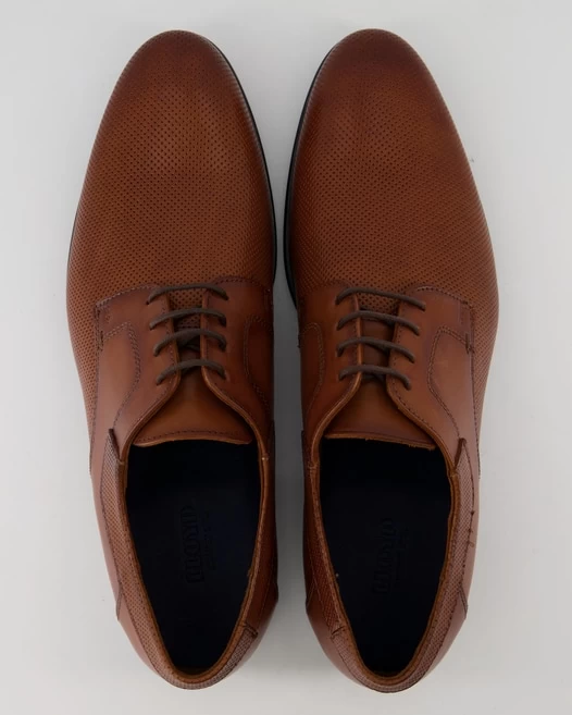 Lloyd LEVIN In 4 Lloyd LEVIN In – Bild 4