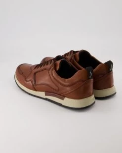 Sioux Rojaro-713 In Braun -Herrenschuhe sind das, was wir tun. T 05540000723 pic3