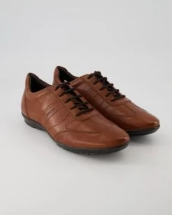 Geox UOMO SYMBOL In Braun