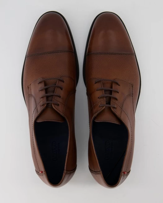 Lloyd FOLCO In Braun 4 Lloyd FOLCO In Braun – Bild 4