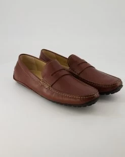 Sioux Carulio-708 In Braun