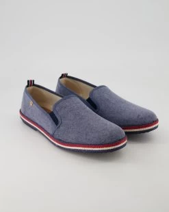 Verbenas TITAN PACIFIC In Blau