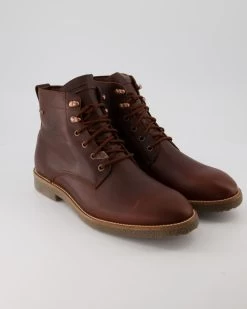 Panama Jack Glasgow Gtx C9 In Braun